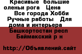 Красивые  большие оленьи рога › Цена ­ 3 000 - Все города Хобби. Ручные работы » Для дома и интерьера   . Башкортостан респ.,Баймакский р-н